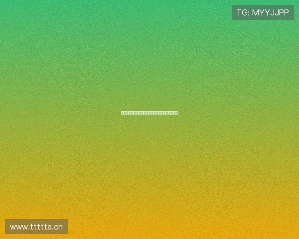 新英体育张硕带队创新发展引领国内体育产业新潮流